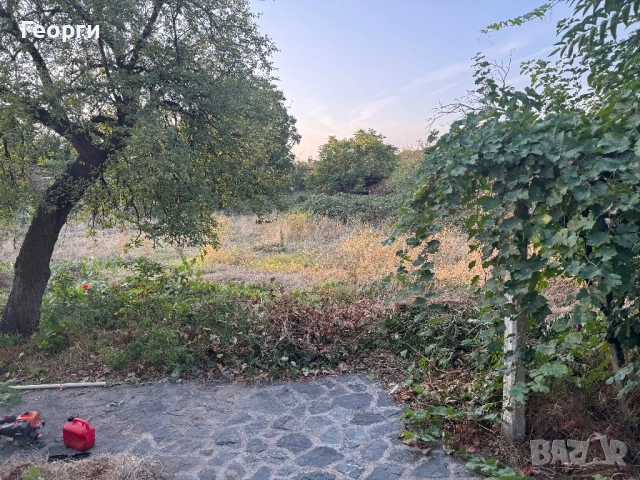 Косене на Трева и Почистване на Дворове