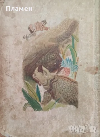 Ловци на жирафи / Гаспар Гаучо Майн Рид, снимка 3 - Художествена литература - 48280852