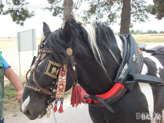 САРАШКИ ИЗДЕЛИЯ ОТ САШО САРАЧА, снимка 6 - Коне - 41933208