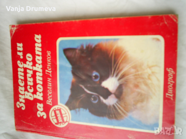 Знаете ли всичко за котката -библиотека Хоби