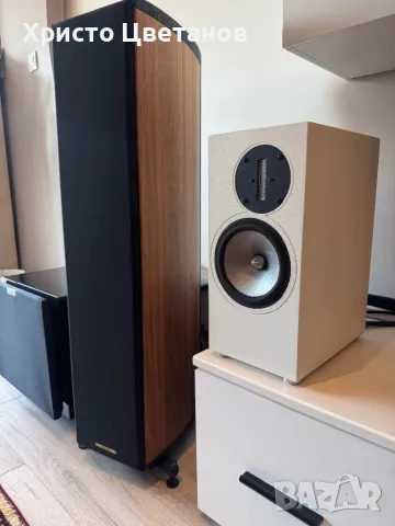 Esthetic Audio RAAL bookshelf speakers, снимка 7 - Тонколони - 50133851