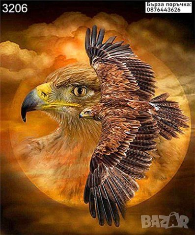 Диамантен   гоблен Орел до Слънцето, снимка 1 - Гоблени - 40573257