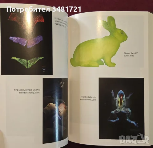 Colliding Worlds. How Cutting-Edge Science Is Redefining Contemporary Art, снимка 14 - Изкуство, музика, кино и фотография - 56301437