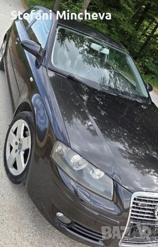 ПРОМОЦИЯ.Ауди А3 S-line със Рекаро седалки със Кожа и Алкантара 1.6 куб 2008год, снимка 3 - Автомобили и джипове - 51624950