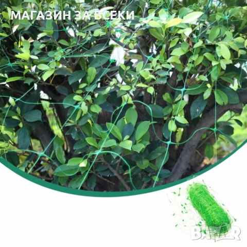 Мрежа за увивни растения и зеленчуци, снимка 6 - Огради и мрежи - 53826928