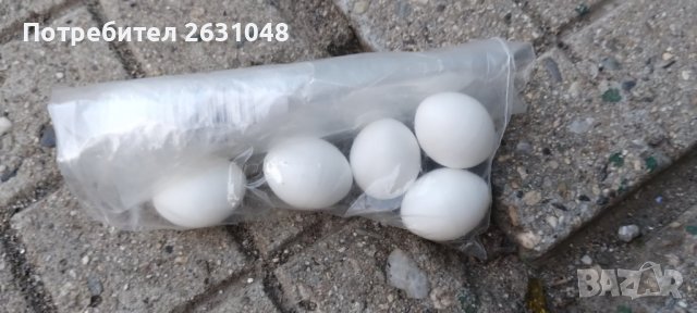 Изкуствени Яйца за малки Птички за канари папагали 