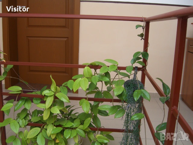 Casio Exilim EX-750, снимка 14 - Фотоапарати - 53100977