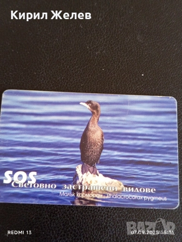 Три фонокарти МОБИКА тема ЗАСТРАШЕНИ ВИДОВЕ,ЧЕРЕН ЛЕШОЯД,ЛЕОПАРДОВ СМОК 12262, снимка 10 - Колекции - 51633304