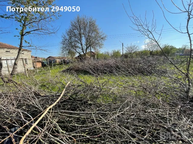 Дробилка за клони под наем, снимка 2 - Други услуги - 49334277