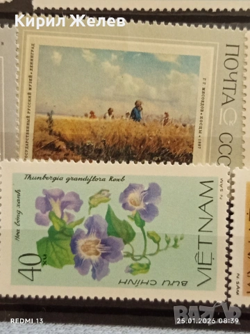 Стари пощенски марки от цял свят ВИЕТНАМ, СССР редки за КОЛЕКЦИЯ 51997, снимка 8 - Филателия - 53217407