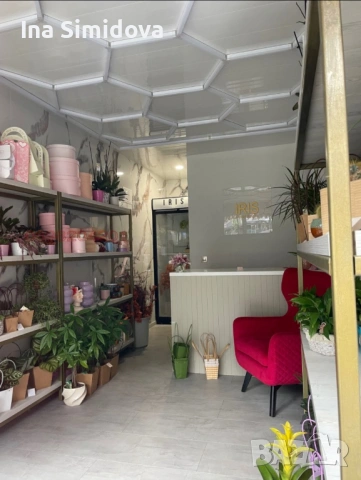 Давам магазин под наем, снимка 6 - Магазини - 53151769