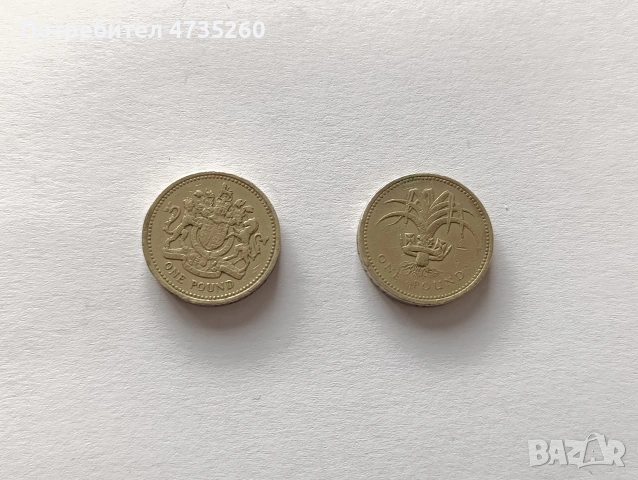 2 бр монети 1 паунд 1983, 1985