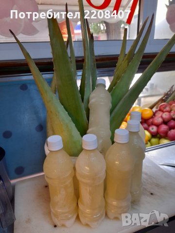 Алое вера листа, снимка 2 - Хранителни добавки - 30444723