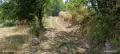 Продавам парцел на Пампорово - Поповото. 🌲 , снимка 5