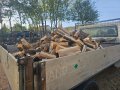 дърва за огрев-Нацепени,Нарязани БЕЗПЛАТЕН ТРАНСПОРТ , снимка 3