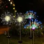 Соларно глухарче, снимка 1