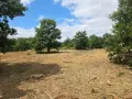 Почистване на пасища градини и терени. Мулчиране и Косене. Бързо и изгодно! , снимка 1