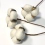 клон клонка клонки клони Натурален памук за аранжиране украса декор изкуствени цветя, снимка 10