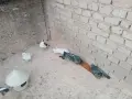 Пазарджишки гълъби, снимка 6
