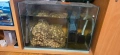 аквариум с всичко към него с рибките , снимка 3