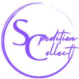 Шофьор C+E (Eвропа - интернационално)